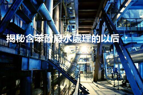 揭秘含苯酚廢水處理的以后？